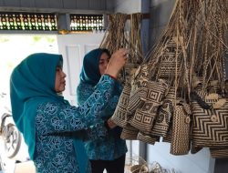 Ketua TP PKK Barito Utara Tinjau Sentra Anyaman Rotan dan UMKM Teweh Timur