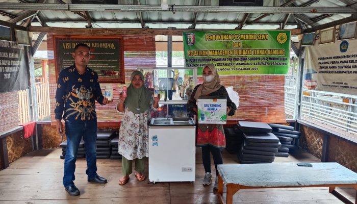 Hasil Ternak Melejit, UMKM Susu Kambing “RasMilk” Tumbuh Pesat Berkat Dukungan Pembiayaan KUR BRI Unit Sukoharjo Pringsewu Lampung