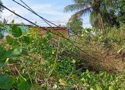 Kabel Listrik Menjuntai di Jalan Merpati, Warga Desak Respons Cepat PLN