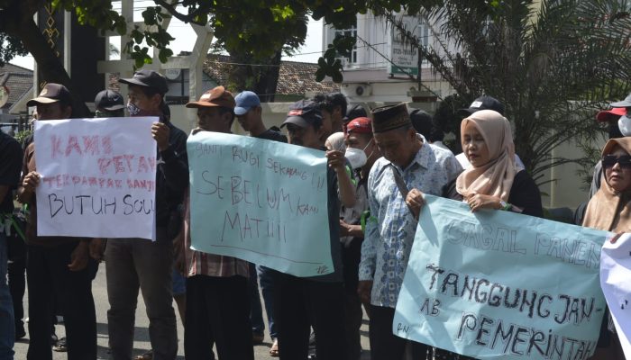 Aliansi Petani Menggugat Tuntut Pemkot & DPRD Cari Solusi Akibat Gagal Panen Terendam Banjir  ‎ ‎