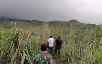 Terkena Dampak Erupsi Gunung Merapi Dukono Halmahera Utara, Ada Pendaki Diinfokan Masih Hilang