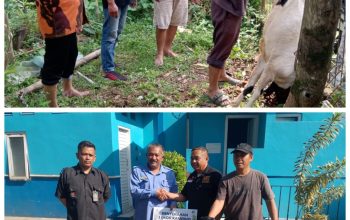 AWPI Kabupaten Malang Sembelih  Hewan Qurban  kerja sama Perumda Tirta Kanjuruhan