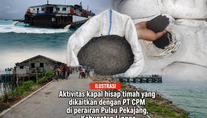 Timah Pekajang Dikeruk, PNBP Dipertanyakan: KPK dan Ditreskrimsus Polda Kepri Didesak Periksa PT CPM