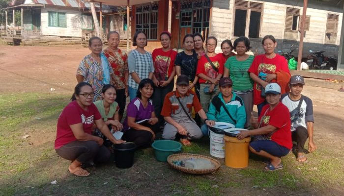 Petani Tradisional di Barito Timur Hadapi Kenaikan Harga Pupuk, JPIC Dorong Pemanfaatan Pupuk Organik