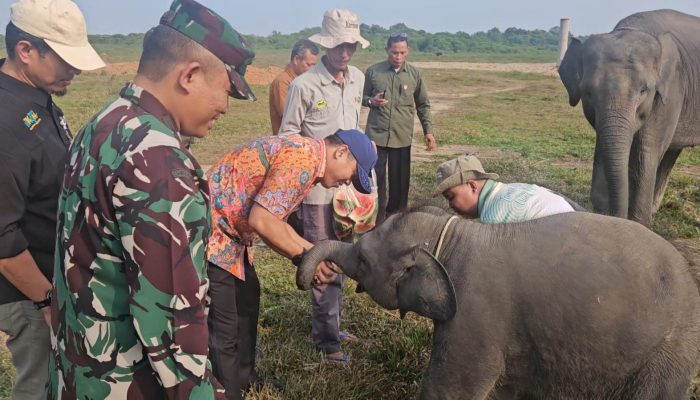 Marsda Dedi Saprudin Tinjau Wajah Baru TNWK,Jaga Untuk Kita