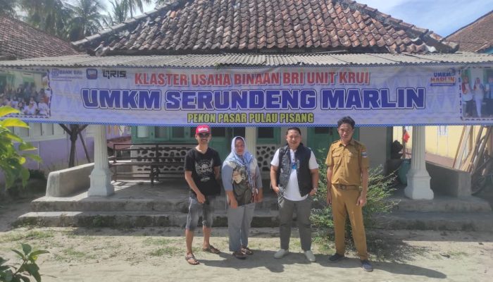 Menerjang Ombak Demi Peningkatan Ekonomi di Pulau Pisang, BRI Unit Krui Kanca Liwa Hadir Layani Masyarakat