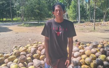 Petani Kelapa di Halmahera Utara, Akui Kehadiran PT NICO Berdampak Positif dan Bawah Keberuntungan Bagi Ekonomi Masyarakat