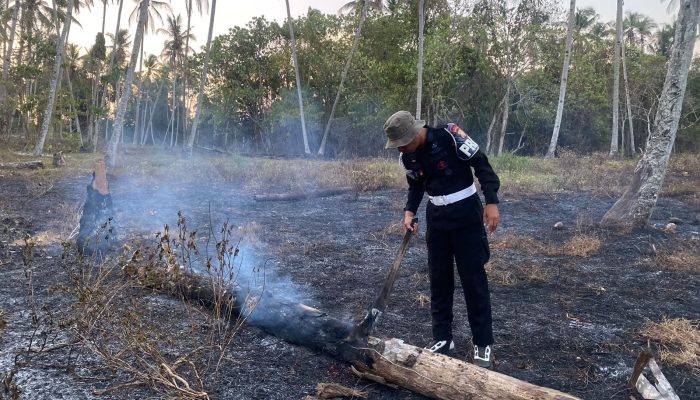 Kebakaran Lokasi Kebun, Satu SST Brimob Kupa-Kupa Malut Bersama Tim Berhasil Padamkan Api