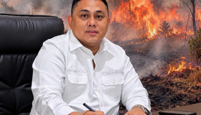 Ketum PRANTARA Tawarkan Solusi Atasi Karhutla: Bangun Embung di Titik Rawan