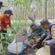 Peringati HUT TNI ke-81, Kodim 0730/Gunungkidul Gelar Penanaman Pohon Serentak di Besari Siraman
