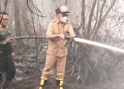 Gubernur Kalteng Terjun Langsung Padamkan Karhutla di Km 17, Pastikan Dukungan Penuh untuk Relawan dan Warga