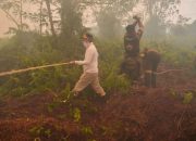 Gubernur Kalteng Turun Langsung Bersama Tim Karhutla Kobar, Kabut Asap Membahayakan