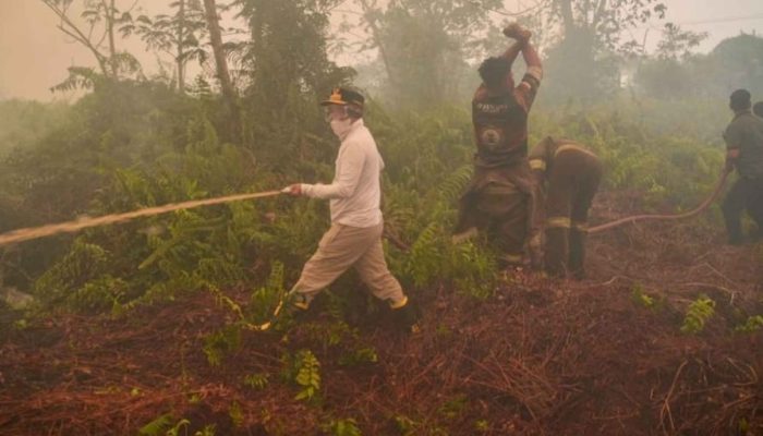 Gubernur Kalteng Turun Langsung Bersama Tim Karhutla Kobar, Kabut Asap Membahayakan