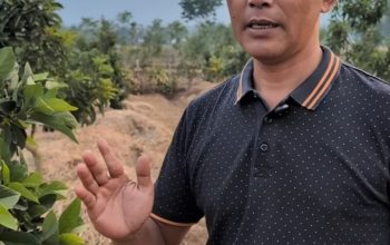 Yoyok Kusnodo Kembali Maju Pilkades 2026, Bidik Swasembada Alpukat dengan Program Satu Rumah Satu Pohon