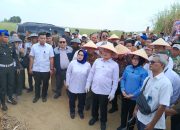 Kunjungan Kepala Staf Kepresidenan RI di Way Kanan, Membawa Angin Segar Bagi Petani Tebu
